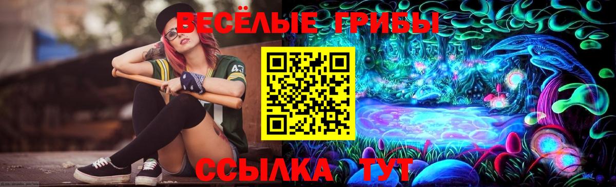 Галлюциногенные грибы GOLDEN TEACHER  купить наркоту  Валуйки  Вход с VPN 