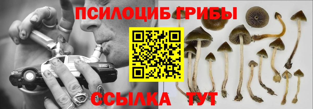 Псилоцибиновые грибы мухоморы Валуйки